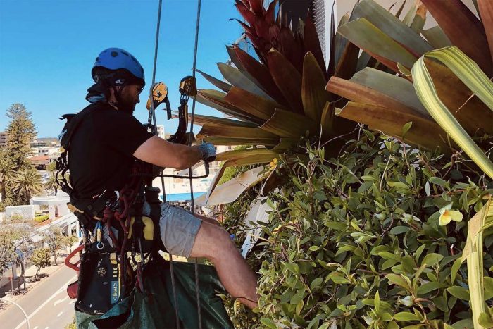 Best 3-Tiered Planter Box for Vertical Gardening
